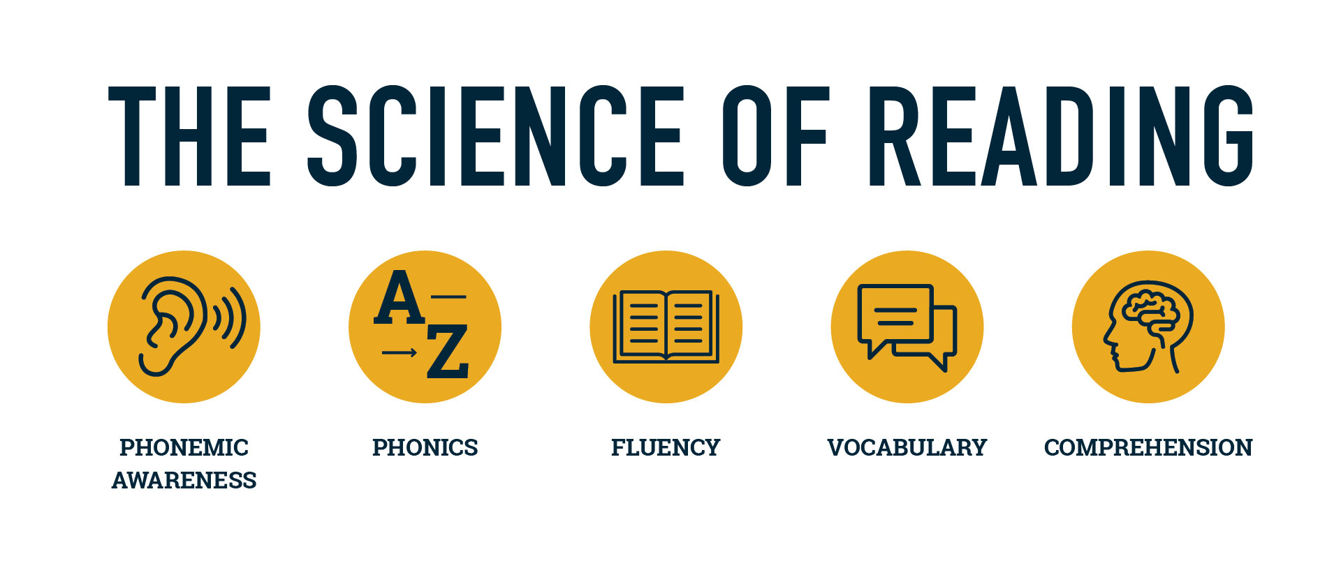 STV-ReadingImpact STV-ReadingImpact